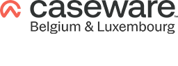Caseware-web